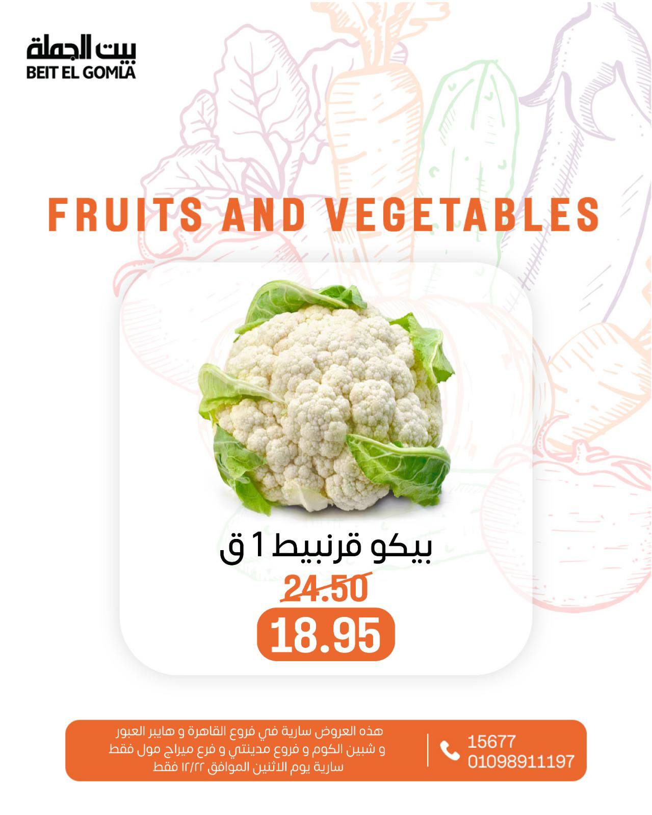 beit-elgomla offers from 22dec to 22dec 2025 عروض بيت الجملة من 22 ديسمبر حتى 22 ديسمبر 2025 صفحة رقم 16